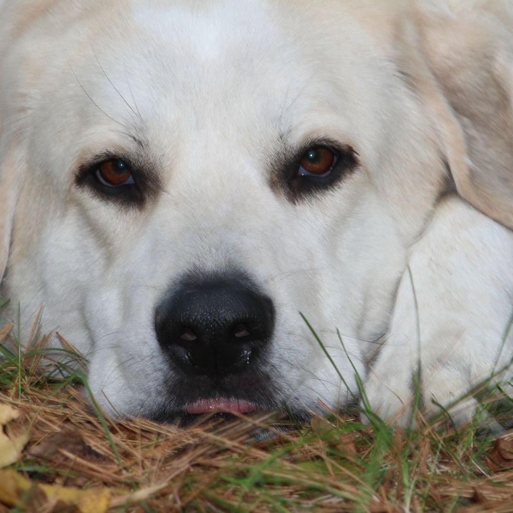 Meet your Posher, Rachelle